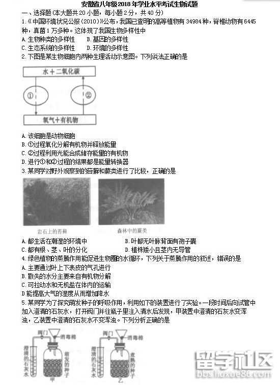 QQ截图20180829115708.png