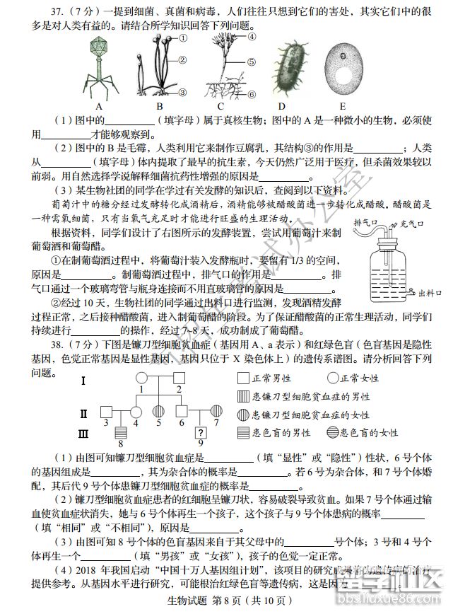 QQ截图20181011102244.png