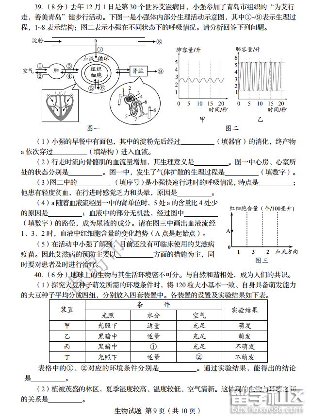 QQ截图20181011102308.png