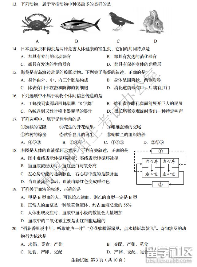 QQ截图20181011102041.png